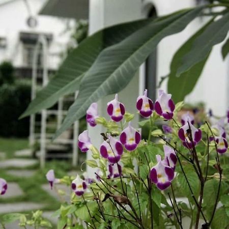 Hasayaki Homestay Sanxing Bagian luar foto