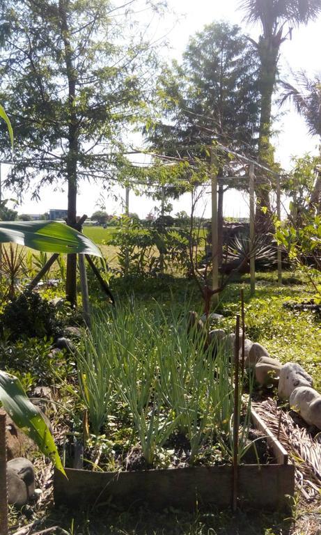 Hasayaki Homestay Sanxing Bagian luar foto
